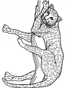Wild cats coloring page - picture 18