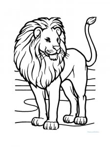 Wild cats coloring page - picture 22