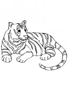 Wild cats coloring page - picture 28