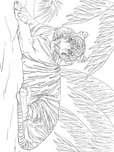 Wild cats coloring page - picture 33