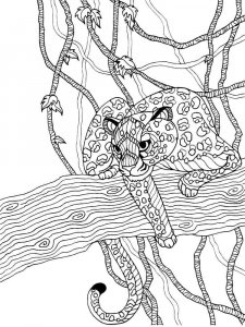Wild cats coloring page - picture 4