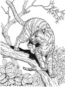 Wild cats coloring page - picture 6