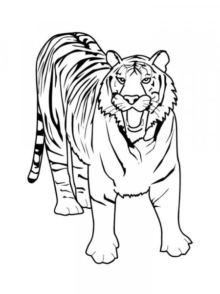 Wild cats coloring pages