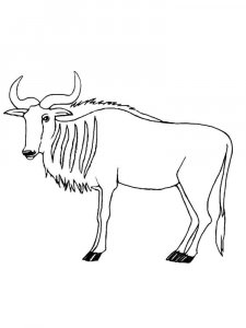 Wildebeest coloring page - picture 11