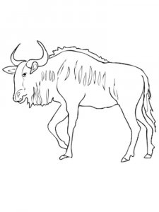 Wildebeest coloring page - picture 13