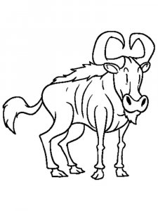Wildebeest coloring page - picture 4