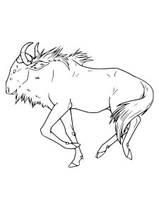Wildebeest coloring page - picture 9