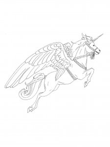 Winged Unicorn coloring page - picture 5