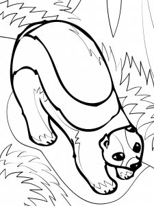 Wolverine Animal coloring page - picture 10