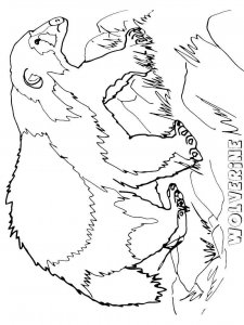Wolverine Animal coloring page - picture 8