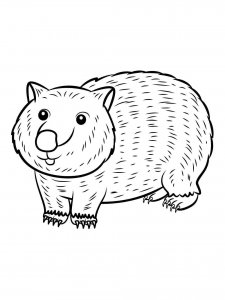 Wombat coloring page - picture 1