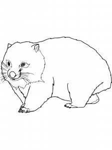Wombat coloring page - picture 10