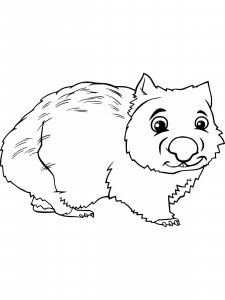 Wombat coloring page - picture 3