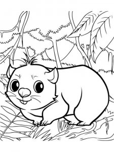 Wombat coloring page - picture 4