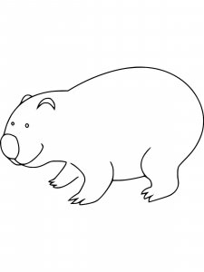 Wombat coloring page - picture 5