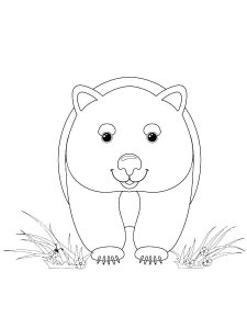 Wombat coloring page - picture 7