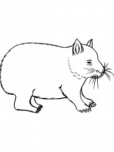 Wombat coloring page - picture 8