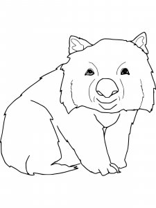 Wombat coloring page - picture 9