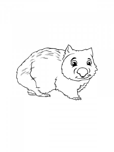 Wombat coloring pages