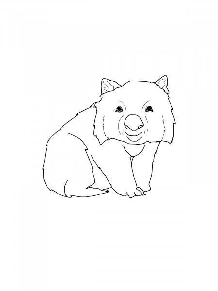 Wombat coloring pages