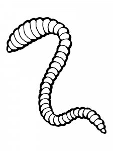 Worm coloring page - picture 17