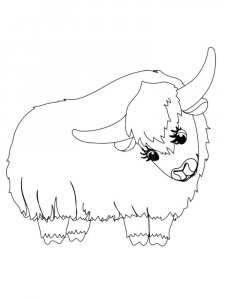 Yak coloring page - picture 13