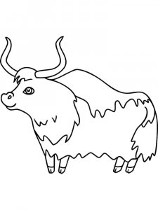 Yak coloring page - picture 14