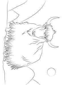Yak coloring page - picture 15