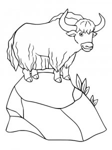 Yak coloring page - picture 19