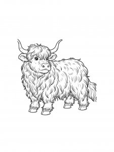 Yak Coloring Pages 23