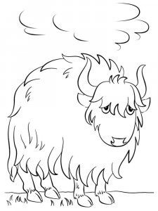 Yak coloring page - picture 4