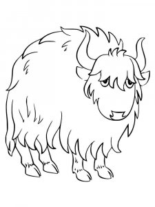 Yak coloring page - picture 7