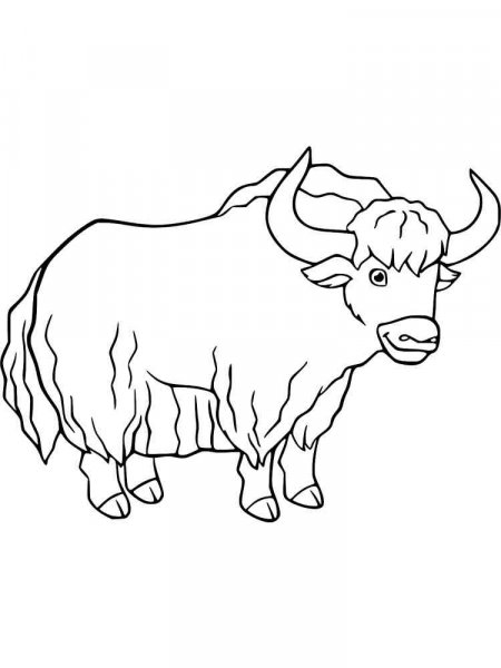 Yak coloring pages