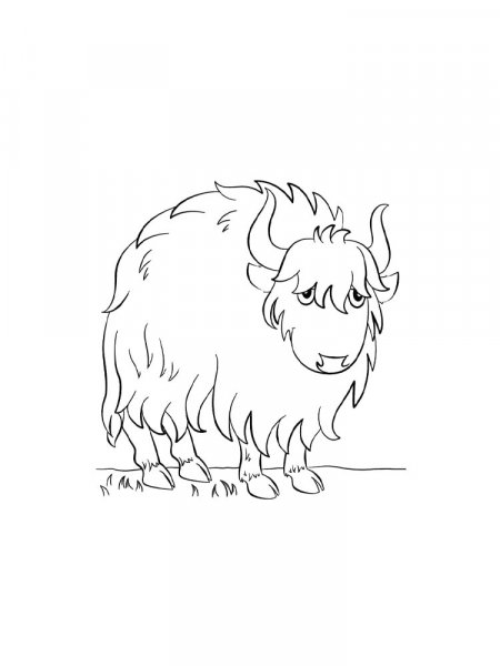 Yak coloring pages