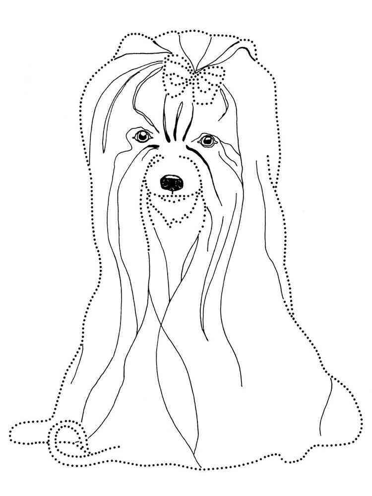 Yorkshire Terrier Coloring Pages Dog Breeds Picture Sketch Coloring Page
