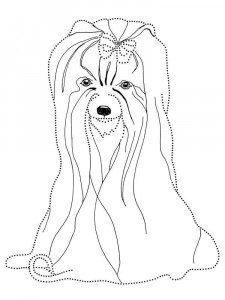 Yorkshire Terrier coloring page - picture 11