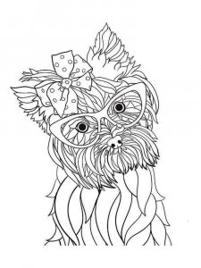 Yorkshire Terrier coloring page - picture 18