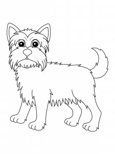 Yorkshire Terrier coloring page - picture 20