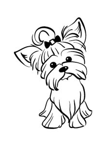 Yorkshire Terrier coloring page - picture 5