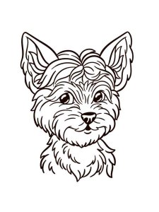 Yorkshire Terrier coloring page - picture 7
