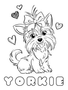 Yorkshire Terrier coloring page - picture 8