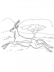Antelope coloring page - picture 1
