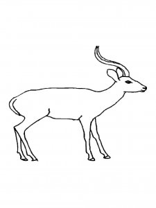 Antelope coloring page - picture 11