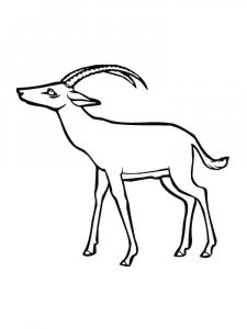 Antelope coloring page - picture 18