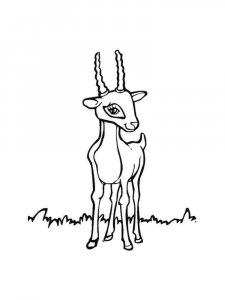 Antelope coloring page - picture 19