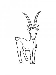 Antelope coloring page - picture 21