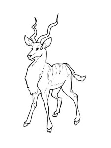 Antelope coloring page - picture 22