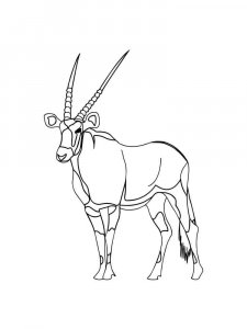 Antelope coloring page - picture 25