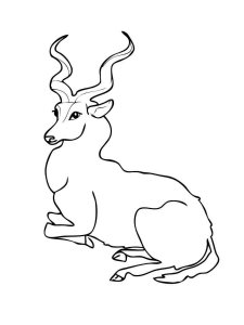 Antelope coloring page - picture 28