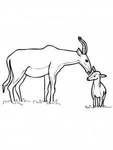 Antelope coloring page - picture 29